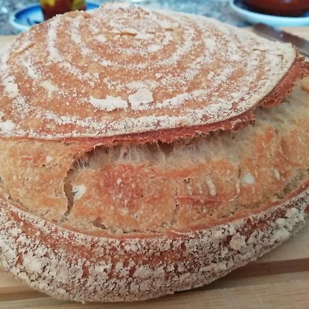 לינה וארוחת בוקר Sorbas Bed & Breakfast Alegria Y Luna מראה חיצוני תמונה
