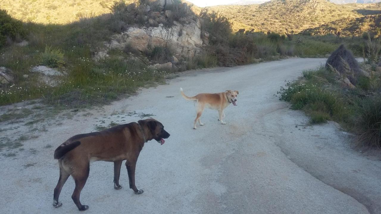 לינה וארוחת בוקר Sorbas Bed & Breakfast Alegria Y Luna מראה חיצוני תמונה