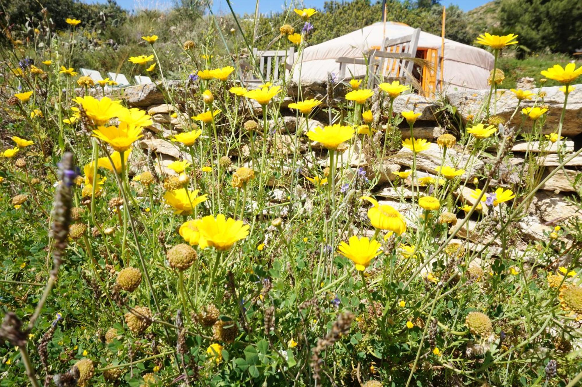 לינה וארוחת בוקר Sorbas Bed & Breakfast Alegria Y Luna מראה חיצוני תמונה