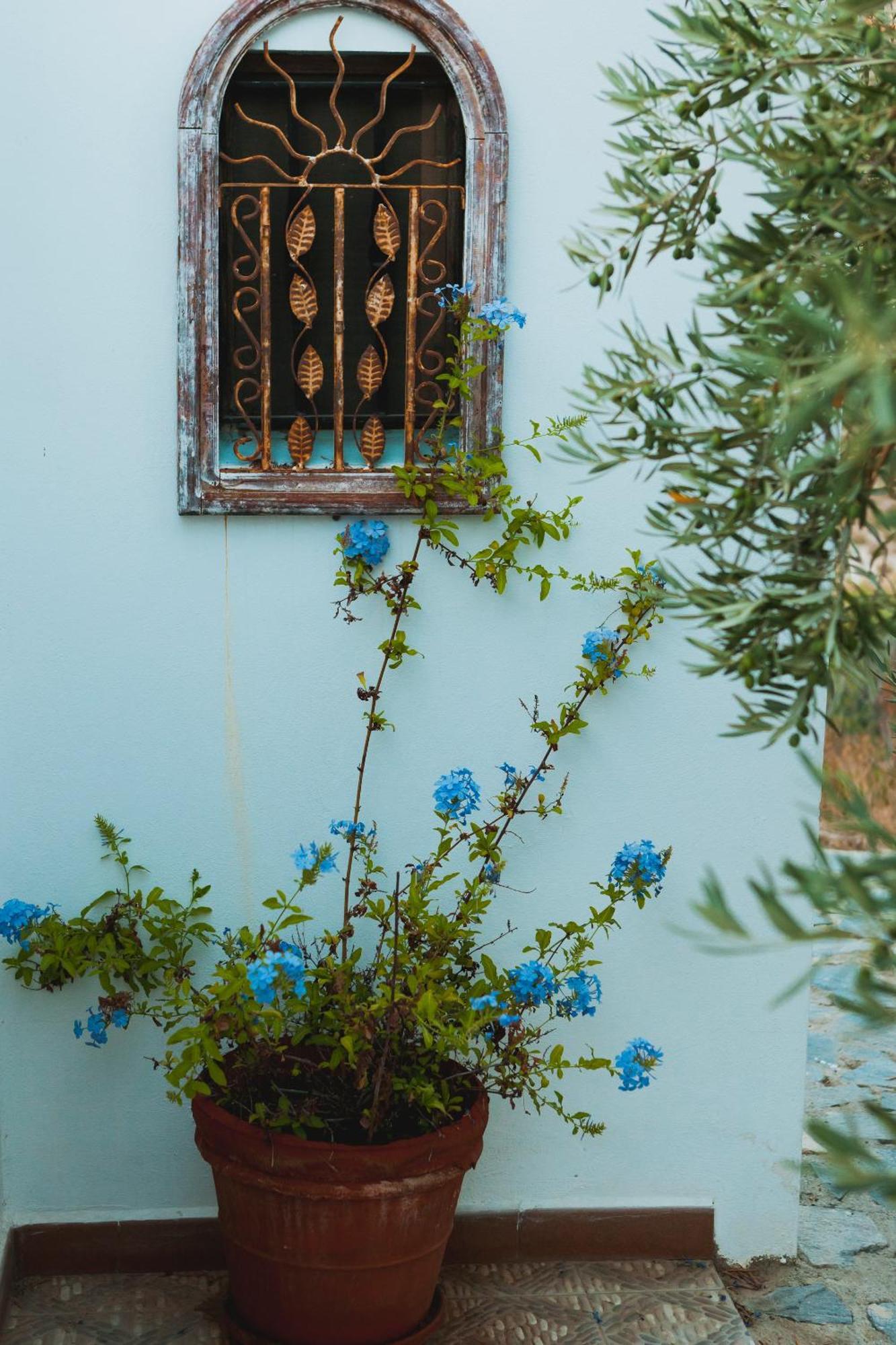לינה וארוחת בוקר Sorbas Bed & Breakfast Alegria Y Luna מראה חיצוני תמונה